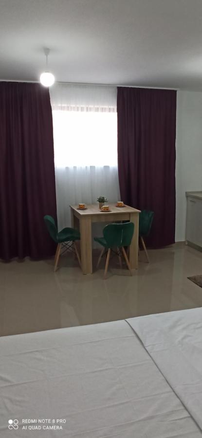 Garsoniera De La Mare Διαμέρισμα Μανγκάλια Εξωτερικό φωτογραφία